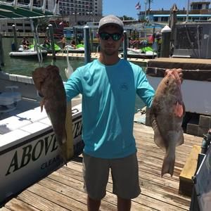 Meet your Posher, Bradley